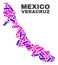 Mosaic Veracruz State Map of Dots and Lines