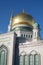 Moscow cathedral mosque main golden dome vertical photo