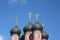 Moscow. Highly Petrovsky Monastery. Domes.