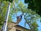 MOSCOW, JUL, 29, 2018: View on workers cutting tops of the trees by chainsaw at elevator crane machine on the building roof altitu