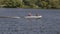 MOSCOW - MAY 7: Boat police of Russia floating on the Moscow river on May 7, 2017 in Moscow, Russia