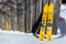 Moscow region, Russia - February 24, 2018: Pair of yellow old fashioned wooden skis standing near old house on white snow