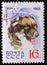 MOSCOW, RUSSIA - APRIL 2, 2017: A post stamp printed in USSR shows Caucasian Shepherd, serie dogs breeds, circa 1965