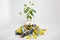 Moscow, Russia - April 20, 2019: A live flower in a pot grows from a pile of batteries. Problems of recycling batteries Ecology