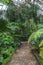 Moscow, Russia - March 5, 2017: Interior of Moscow botanical tropic greenhouse