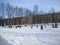 Moscow / Russia - March 8, 2019: people play soccer in the snow. Winter sport. Athletes attack someone else`s gate, where the