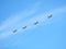 MOSCOW, RUSSIA - May 9, 2018: Group of Russian military tactical front-line bombers SU-24 in flight in the blue sky