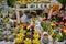 Moscow, Russia, November 2019: A large number of succulent cacti painted in gold and red in flower pots. Sale in a flower shop