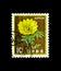 MOSCOW, RUSSIA - NOVEMBER 23, 2017: A stamp printed in Japan shows Adonis (Adonis Amurensis), Fauna, Flora and Cultural Heritage