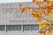 Moscow, Russia - October 03, 2019: Facade of New Tretyakov Gallery close-up against branch of tree with yellow leaves in sunlight