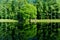 Moscow/Russia - Reflection of green trees on pond, Calm spring view from the pond shore