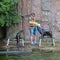 Moscow zoo. Zookeeper  with northern fur seal Callorhinus ursinus. Female with cub