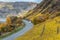 Mosele river wineyard germany rhineland palantino Beautiful orange and red autumn forest and wine plants