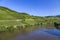 Moselle landscape with vineyards