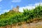 Moselle Valley Germany: View to vineyards and ruins of Landshut castle near Bernkastel-Kues, Germany