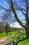 Moses H.Cone Memorial Park, Blue Ridge Parkway