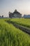 Mosque building construction, and rice fields