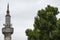 Mosque minaret and tree branches