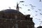 A mosque surrounded by flying pigeons