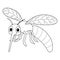 Mosquito Animal Isolated Coloring Page for Kids