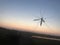 a mosquito on the background of the setting sun