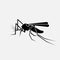 Mosquito black silhouette