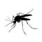Mosquito. Black and white drawing by hand. Silhouettes