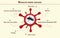 Mosquito carrying deseases infographics