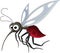 Mosquito cartoon for you design