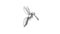 Mosquito Flying Cartoon 2D Animation