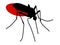 Mosquito full of blood