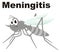 Mosquito has meningitis