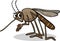 Mosquito insect cartoon illustration