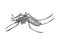 Mosquito insect engraving vector illustration
