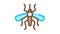 Mosquito Insect Icon Animation