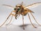 mosquito isolated on white background, AI Generative