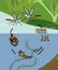 Mosquito life cycle.
