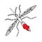 Mosquito made in vector, doodle illustration