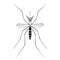 Mosquito. Malaria, Zika virus concept