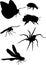 Mosquito and other insect silhouettes