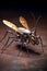 Mosquito robot. Artificial mosquito. The concept of the future.