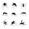 Mosquito silhouettes. Swarm flying insects, dangerous bite proboscis mosquitoes virus infection malaria, dengue, black