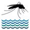 Mosquito, Standing Water