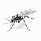 Mosquito Vector Illustration Noir Comic Art Inspired By Marko Manev