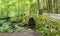 Moss Covered Antique Stone Bridge Near the Little River, The Great Smokies Mountains National Park