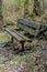 A moss covered bench in the forest