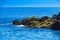 Moss-Covered Coastal Rocks on Japanese Coast