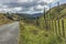 Moss-covered fence on the side of State Highway 43 or Forgotten World Highway in New Zealand.