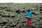 Moss covered lava field, Eldhraun, Iceland