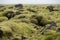 Moss covered lava field, Eldhraun, Iceland